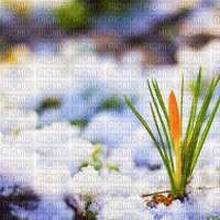 Y.A.M._Spring background - ingyenes png
