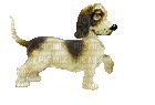 Chien.Dog.Victoriabea - Gratis animerad GIF
