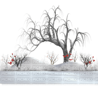 winter  background by nataliplus - 無料png