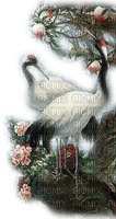 Cranes - PNG gratuit