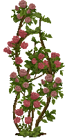 Bloemen en Planten - Gratis animeret GIF