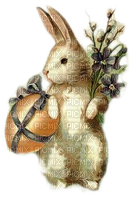 vintage easter bunny vintage lapin paques - zdarma png
