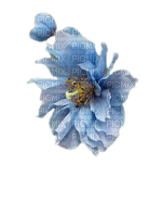fleurs bleues - 免费PNG