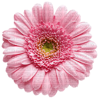 Flower ❤️ elizamio - png gratuito