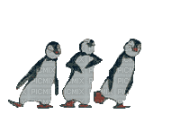 pingouin - Gratis geanimeerde GIF