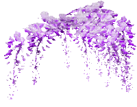 soave deco branch flowers animated purple - GIF animado grátis