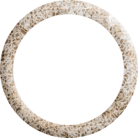 frame cadre rahmen  tube vintage circle round sepia - png gratis