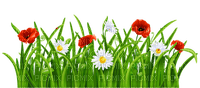 Kaz_Creations Garden-Deco-Grass - png gratis