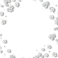 White flowers overlay frame [Basilslament] - 免费PNG