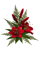 Bloemen en planten - Gratis animerad GIF