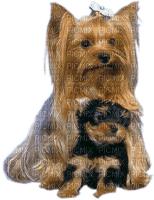 Tube Animaux Chien - kostenlos png