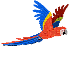parrot - Besplatni animirani GIF