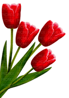 red tulips Bb2 - gratis png