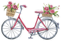 bicycle - zdarma png