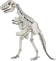 Squelette Dinosaure:) - zdarma png