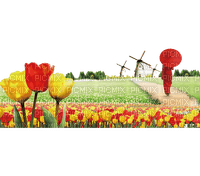 loly33 tulipe - ingyenes png