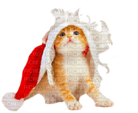 Christmas Cat - безплатен png