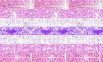Pomosexual glitter flag - GIF เคลื่อนไหวฟรี