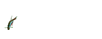 tetra - Ingyenes animált GIF