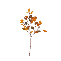 Autumn Fall Tree - Безплатен анимиран GIF