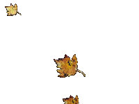 liście - Darmowy animowany GIF
