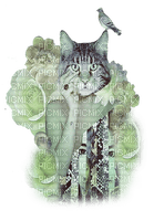 chat cat - zdarma png