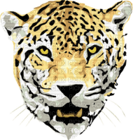 Kaz_Creations Leopard - zdarma png