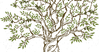 trees bp - Darmowy animowany GIF