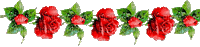 red roses tube - GIF animé gratuit