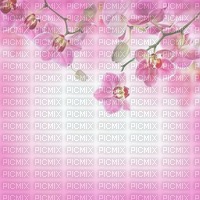 bg-soft flowers-pink - ücretsiz png