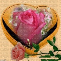 MMarcia fundo coração rosas coeur - PNG gratuit