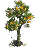 arbre - Gratis animerad GIF