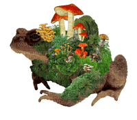 mossy mushroom toad - png ฟรี