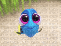 Big Eyed Fish GIF - Безплатен анимиран GIF