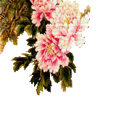 Y.A.M._Japan Spring Flowers Decor - Zdarma animovaný GIF