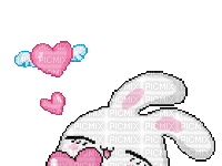bunny - 無料のアニメーション GIF
