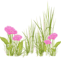 Kaz_Creations Deco Flowers Flower  Colours Grass - zadarmo png