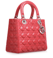 Kaz_Creations Dior-Bag - nemokama png
