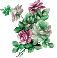 Garda Lake Flower  Rose - png grátis