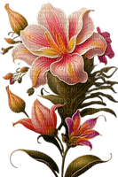 Flores- Rubicat - nemokama png