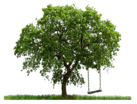 tree - gratis png
