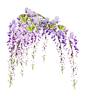 plants anastasia - Ingyenes animált GIF