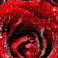 Fond Irena gif deco glitter fleur rose image rouge - Free animated GIF