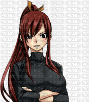 Fairy Tail Erza - ingyenes png