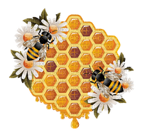 Honey Bee - Bogusia - kostenlos png