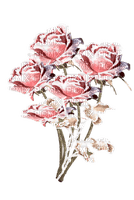 Winter roses - ücretsiz png