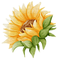 kikkapink sunflower - gratis png