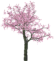 pink arbre printemps gif tree spring