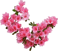 fleurs - besplatni png
