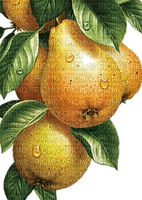 Birnen, Pears - gratis png